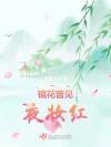 难逃一劫
